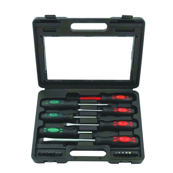 Trusa de surubelnite si biti Wert W2230 21 piese